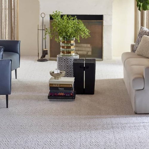 Living Room Pattern Carpet - CarpetsPlus of St. Louis in St. Louis, MO